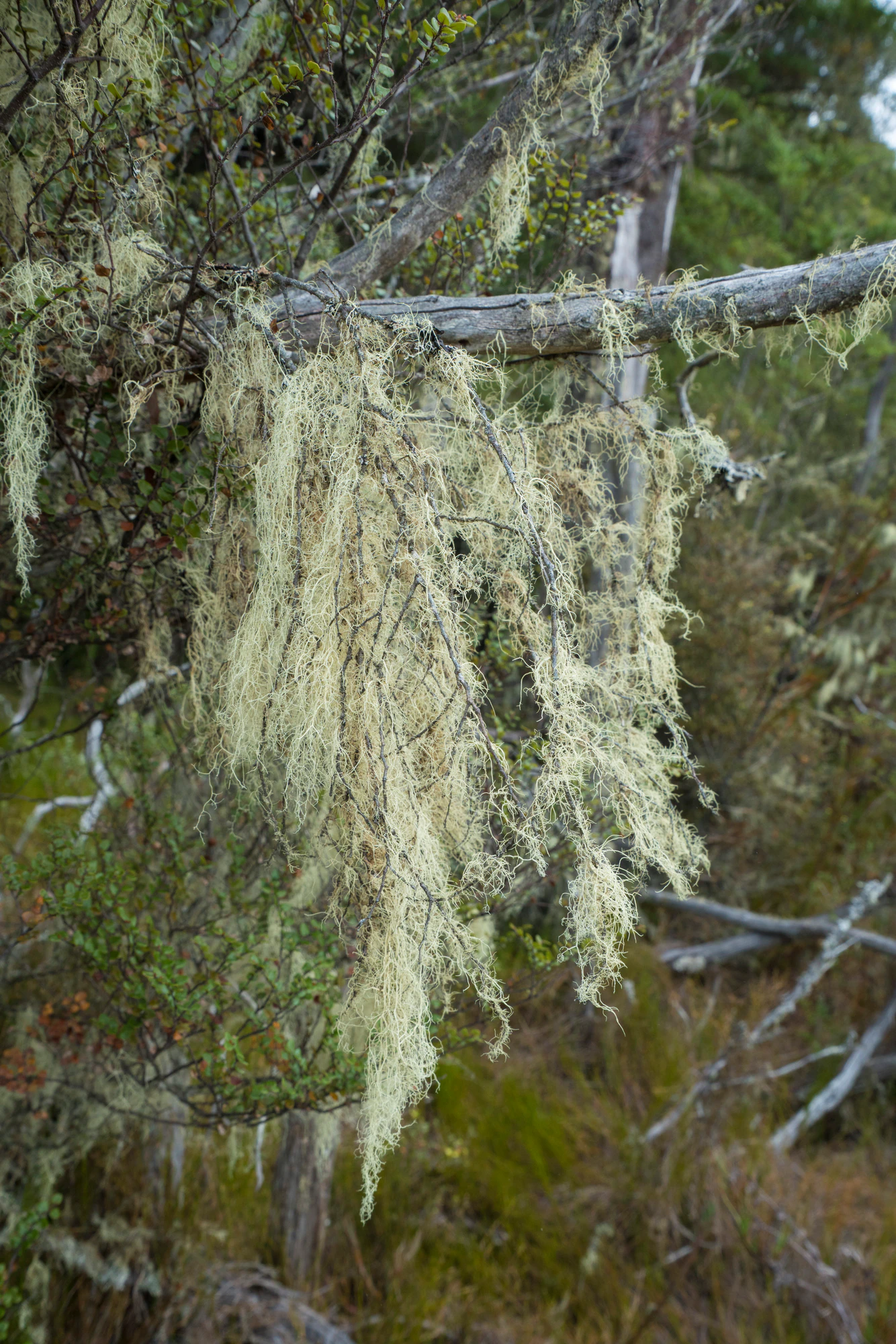 010 — Download