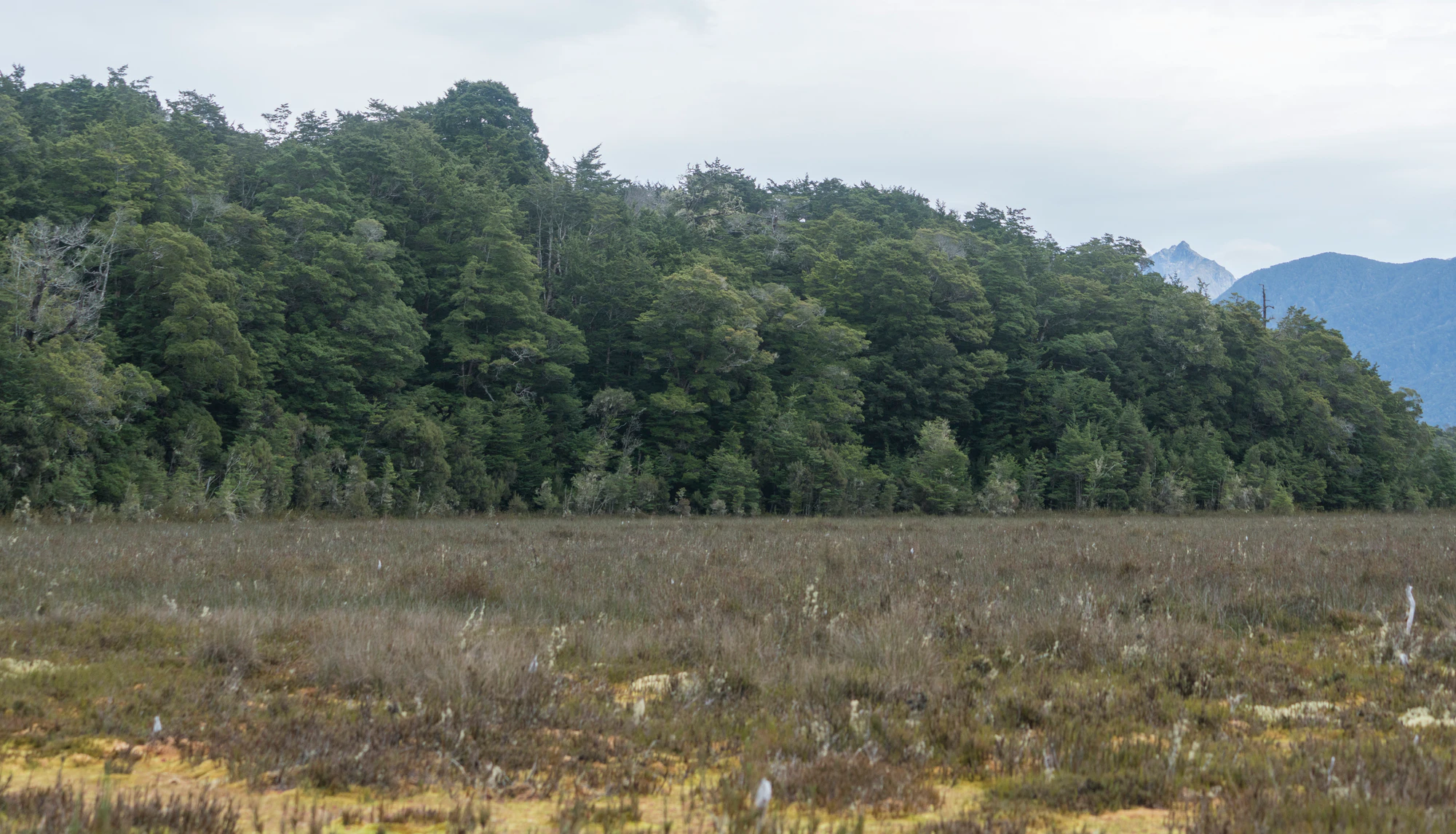 076 — Скачать