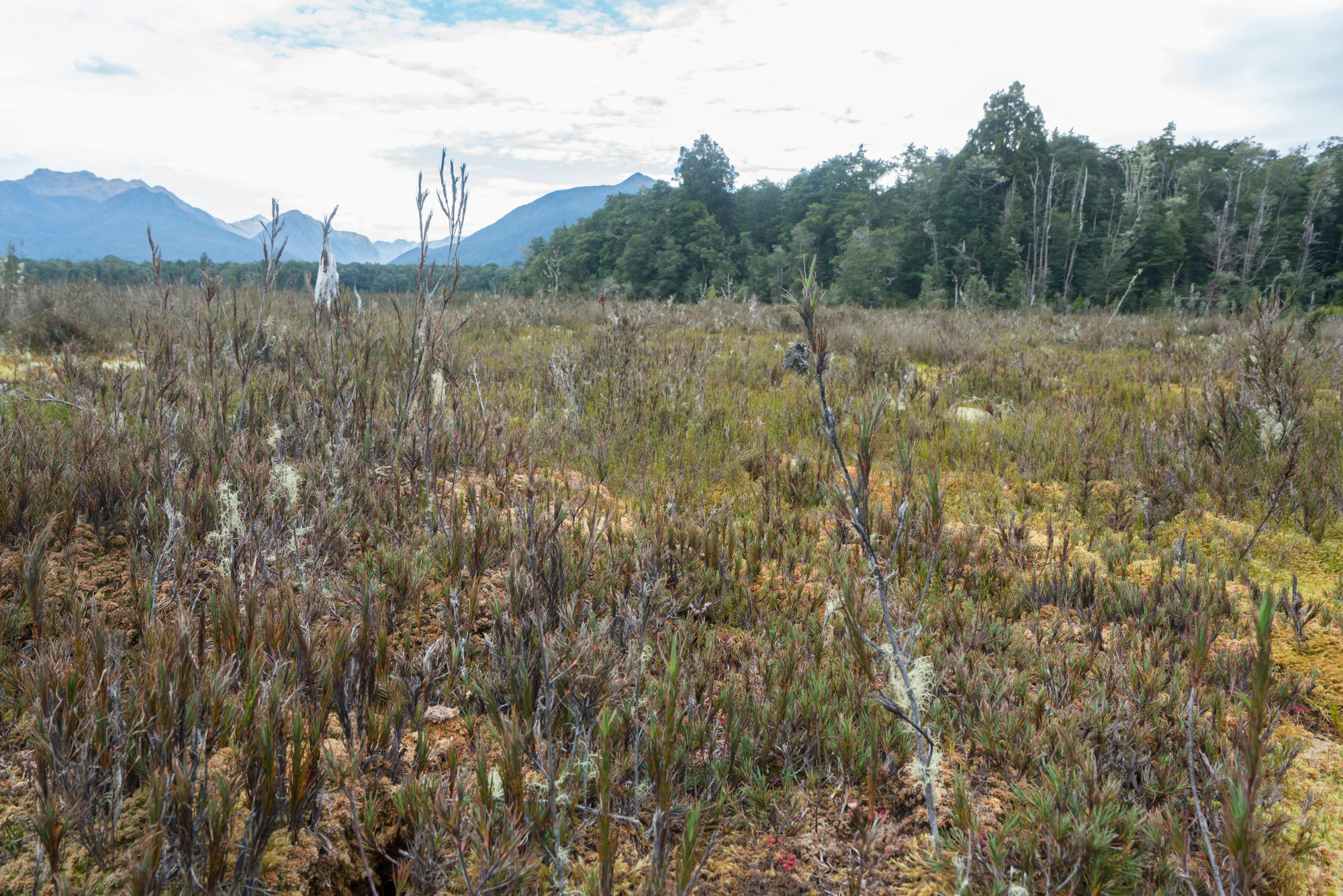 077 — Скачать