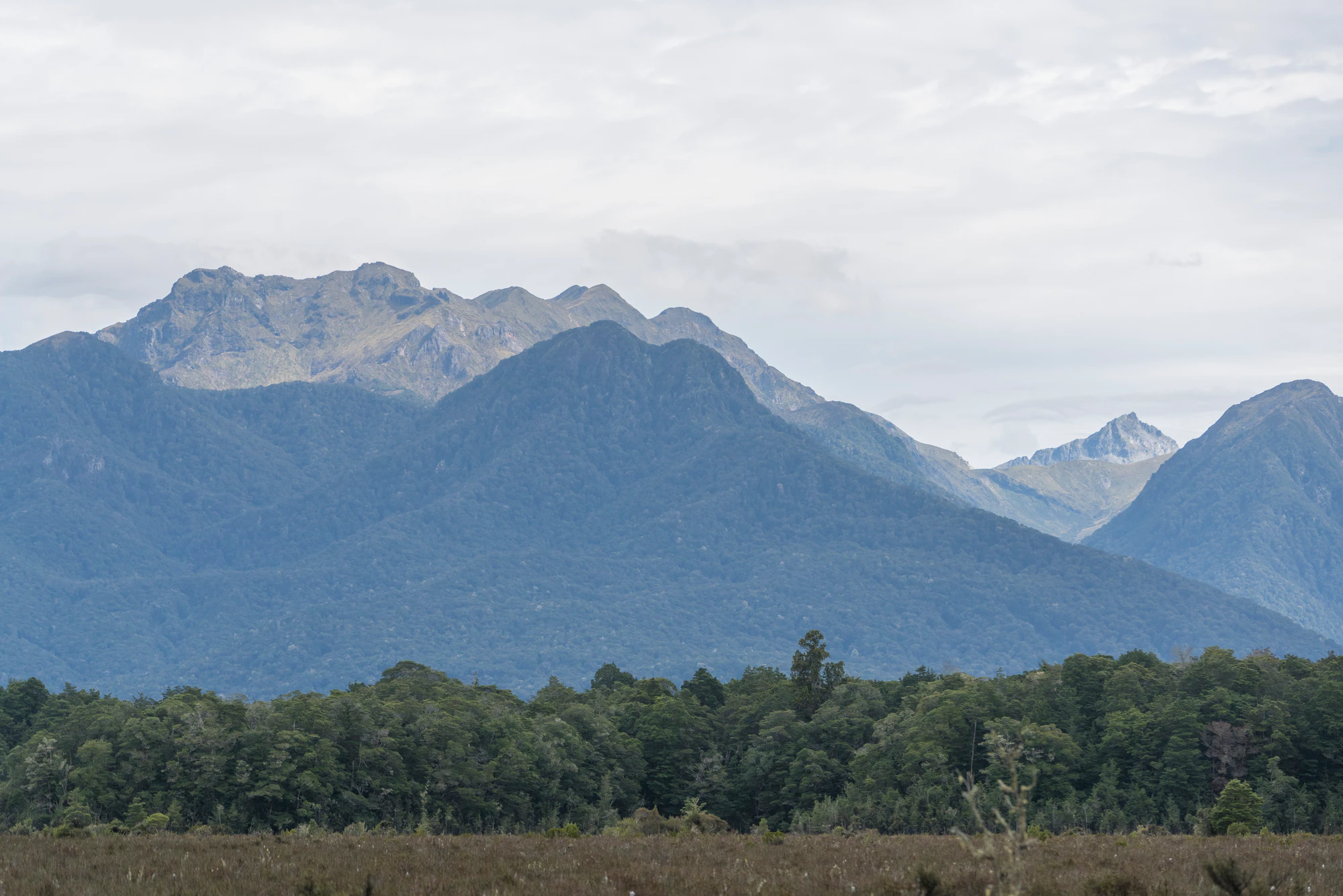 080 — Скачать