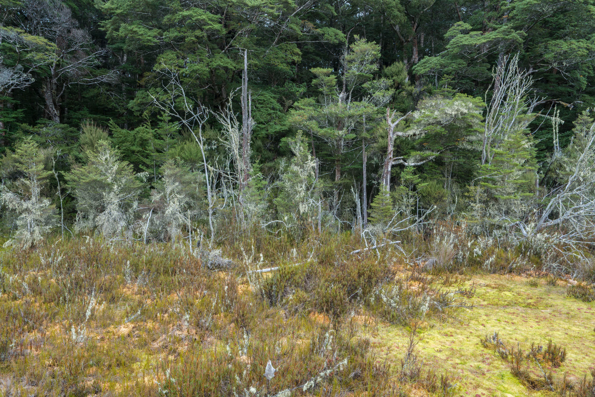 085 — Скачать