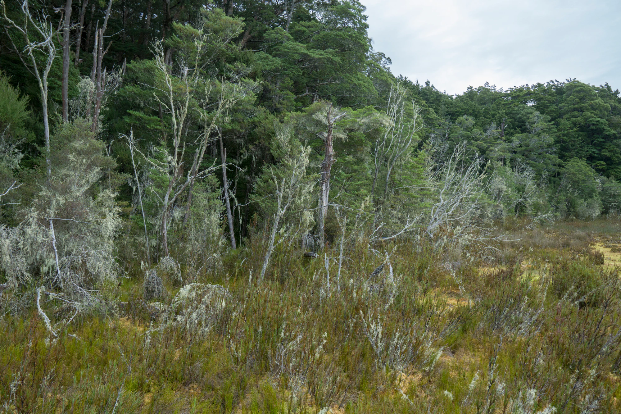 089 — Скачать