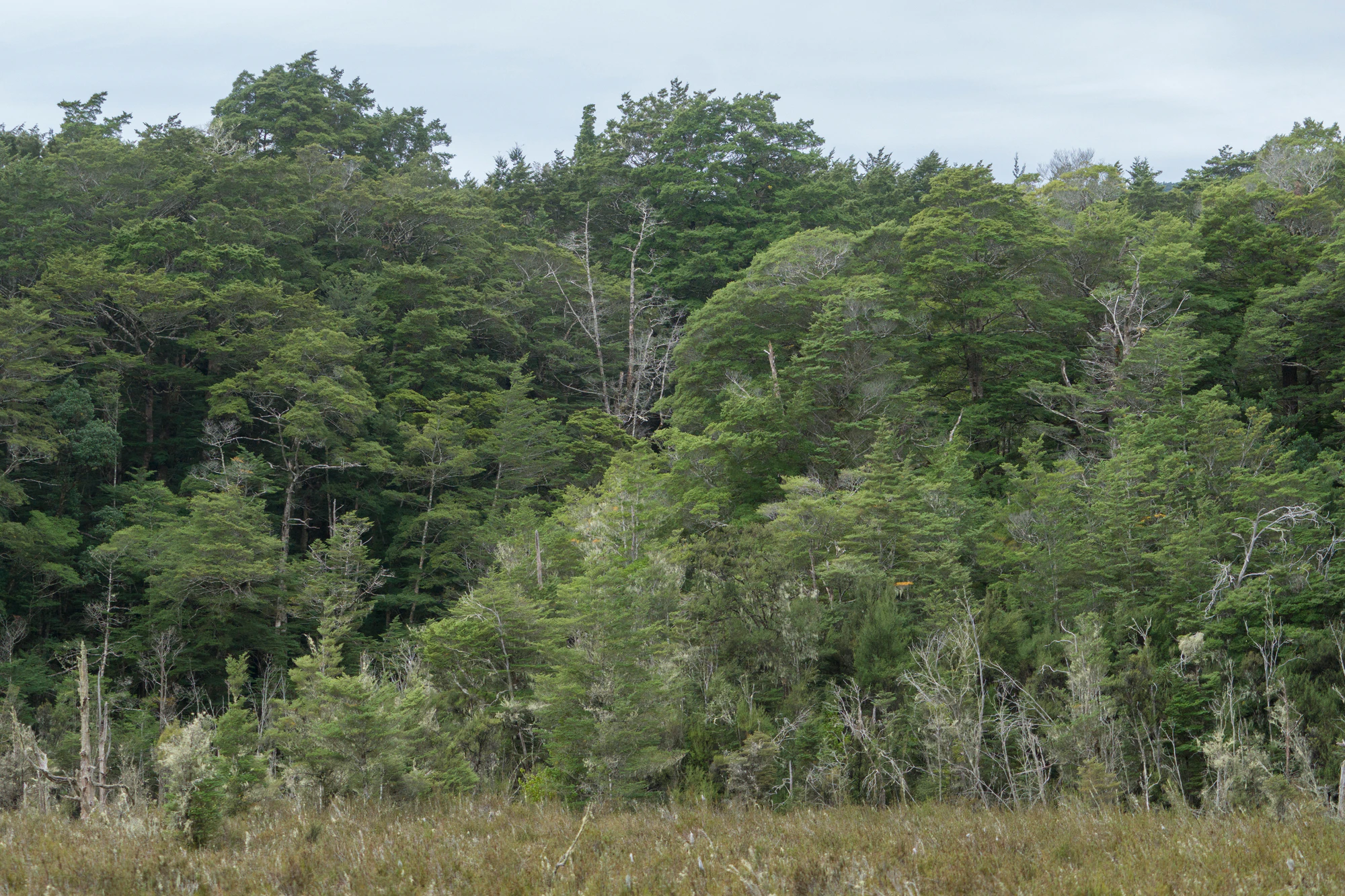 090 — Скачать