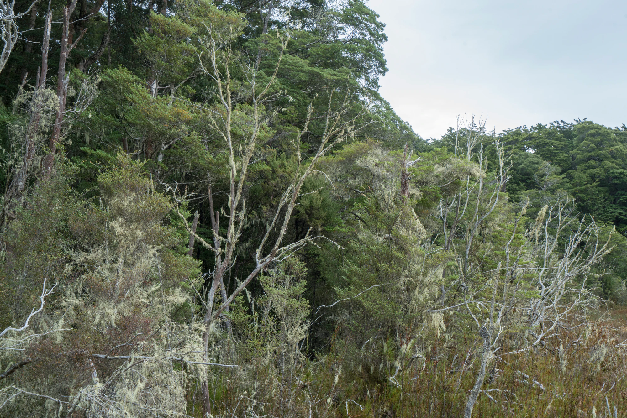 093 — Скачать