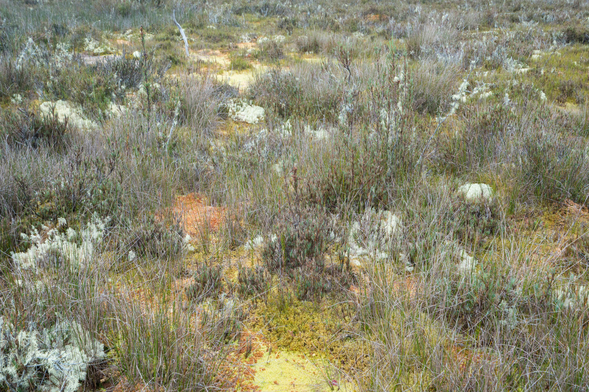 103 — Скачать