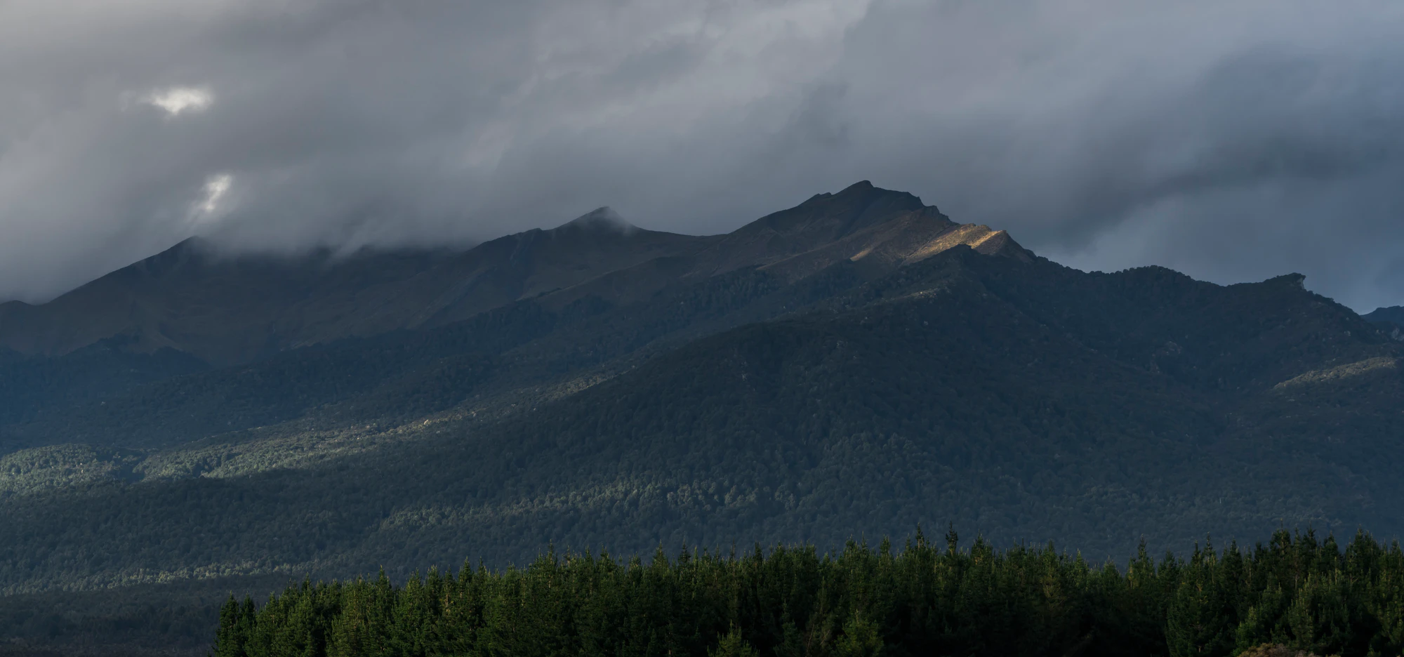 154 — Скачать