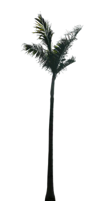 010 — Скачать