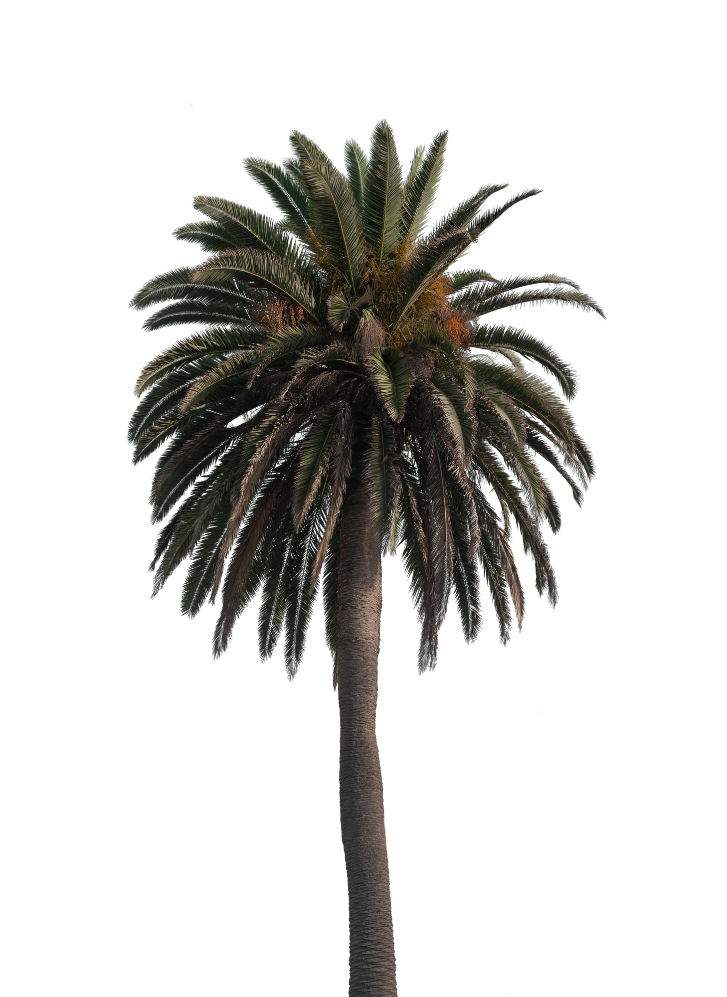 028 — Скачать