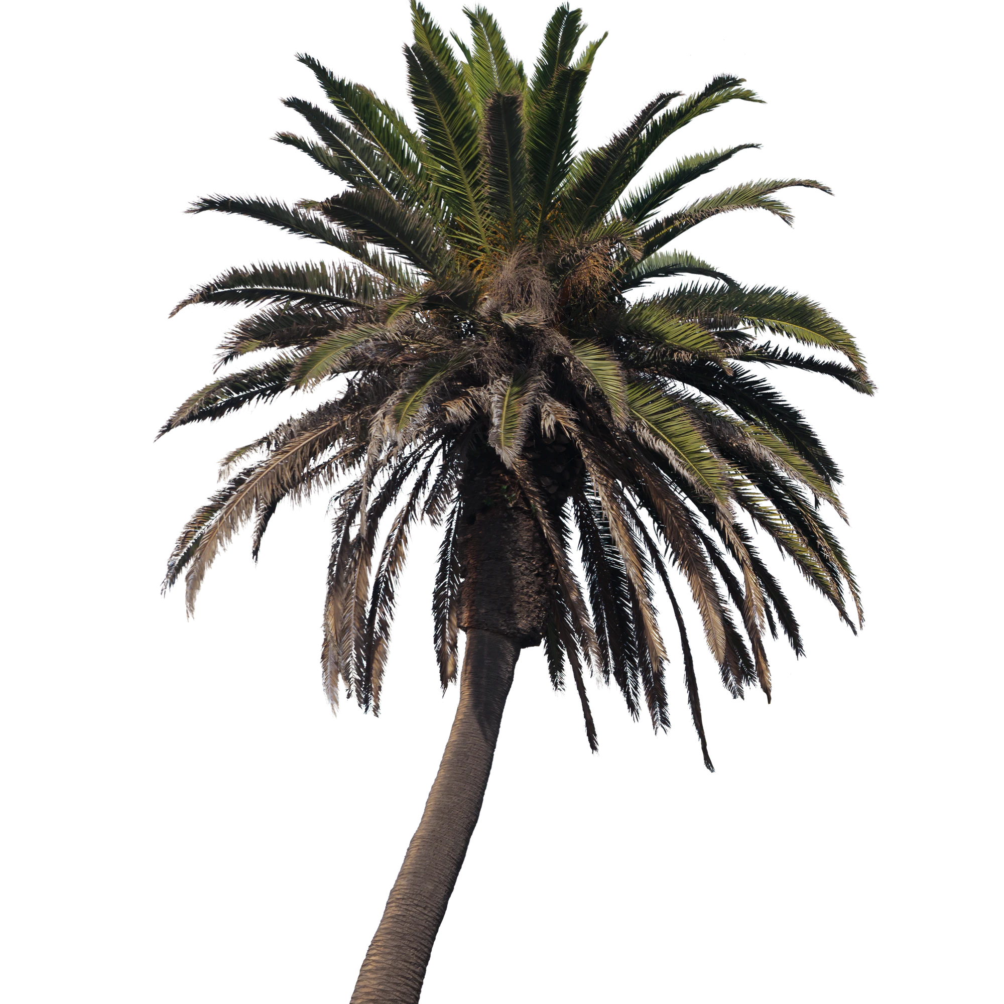 029 — Скачать