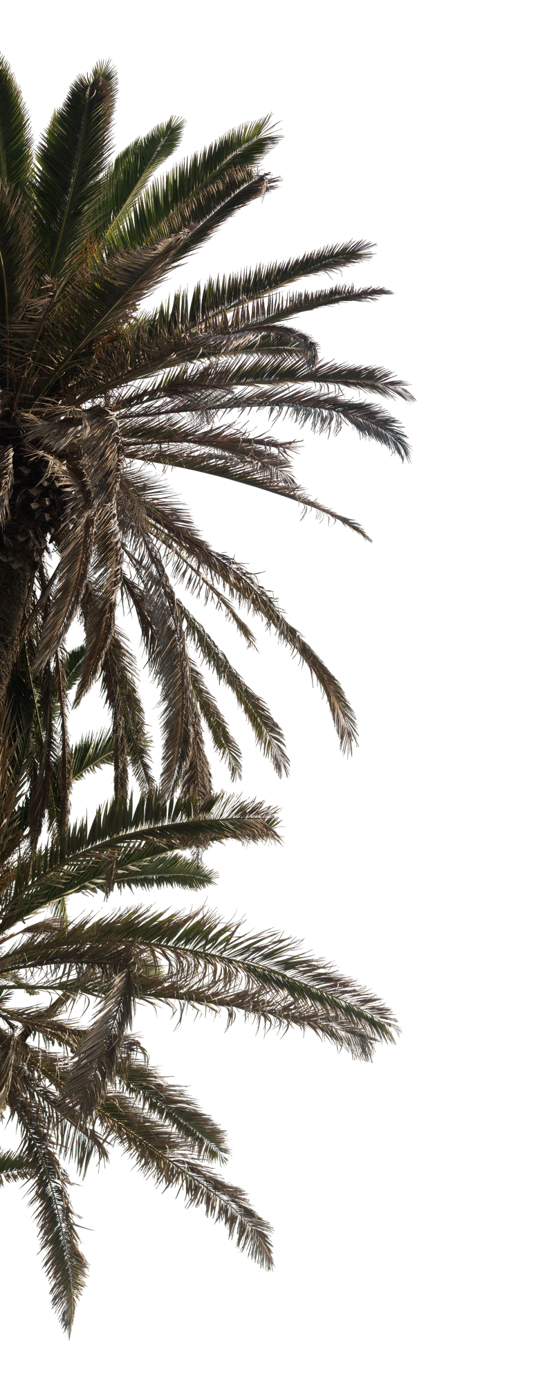 039 — Скачать