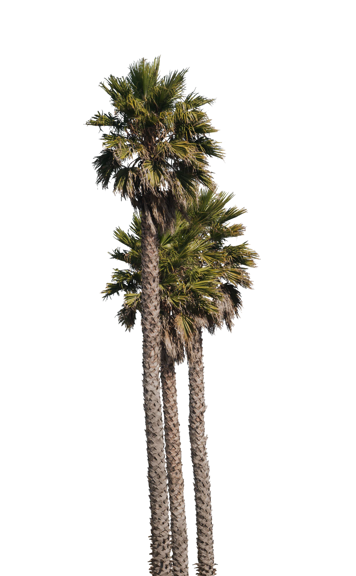 043 — Скачать