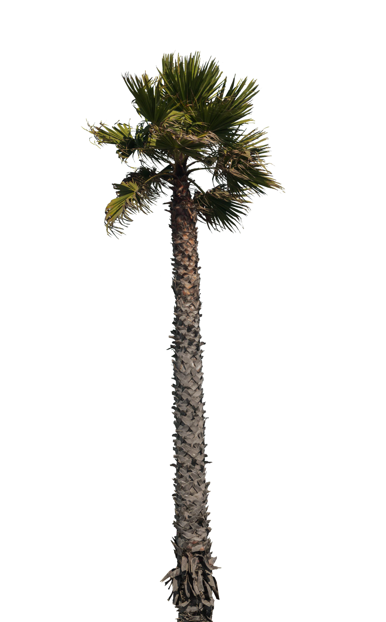 044 — Скачать