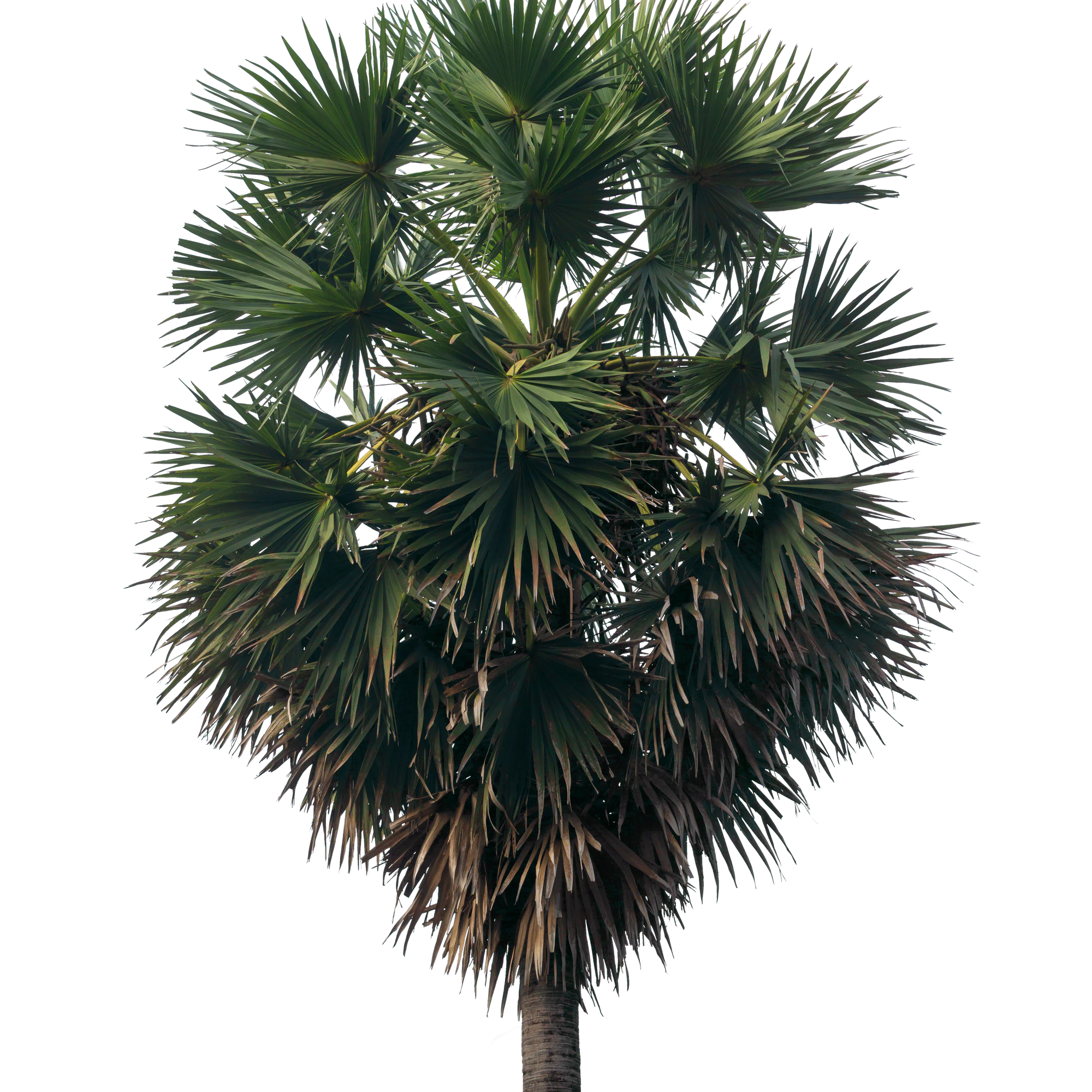 048 — Скачать