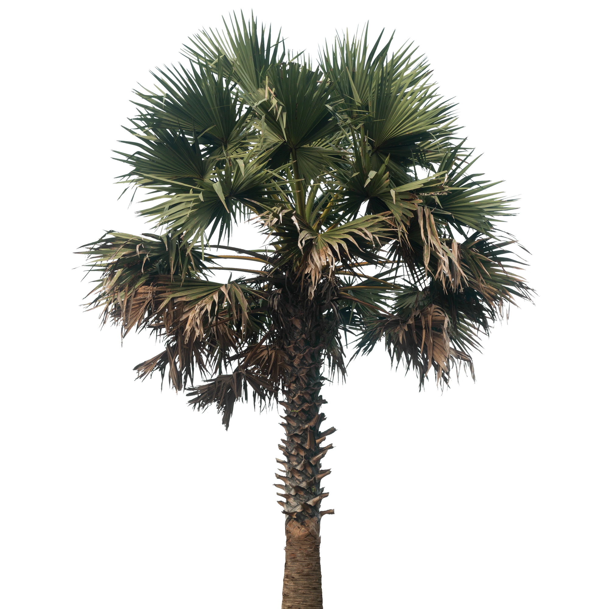 050 — Скачать