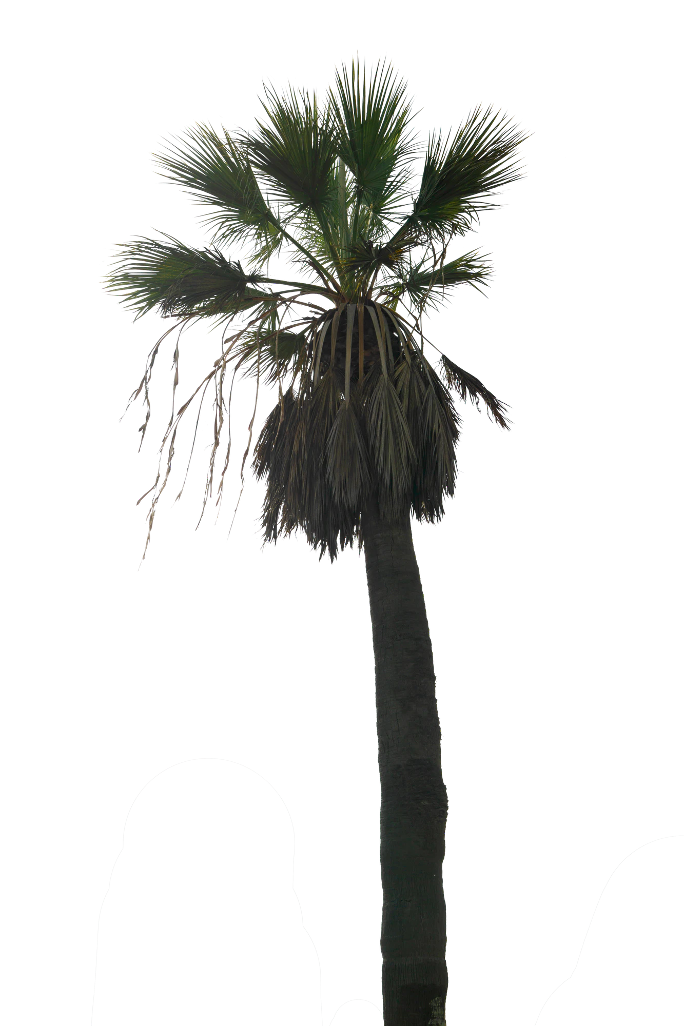 052 — Скачать