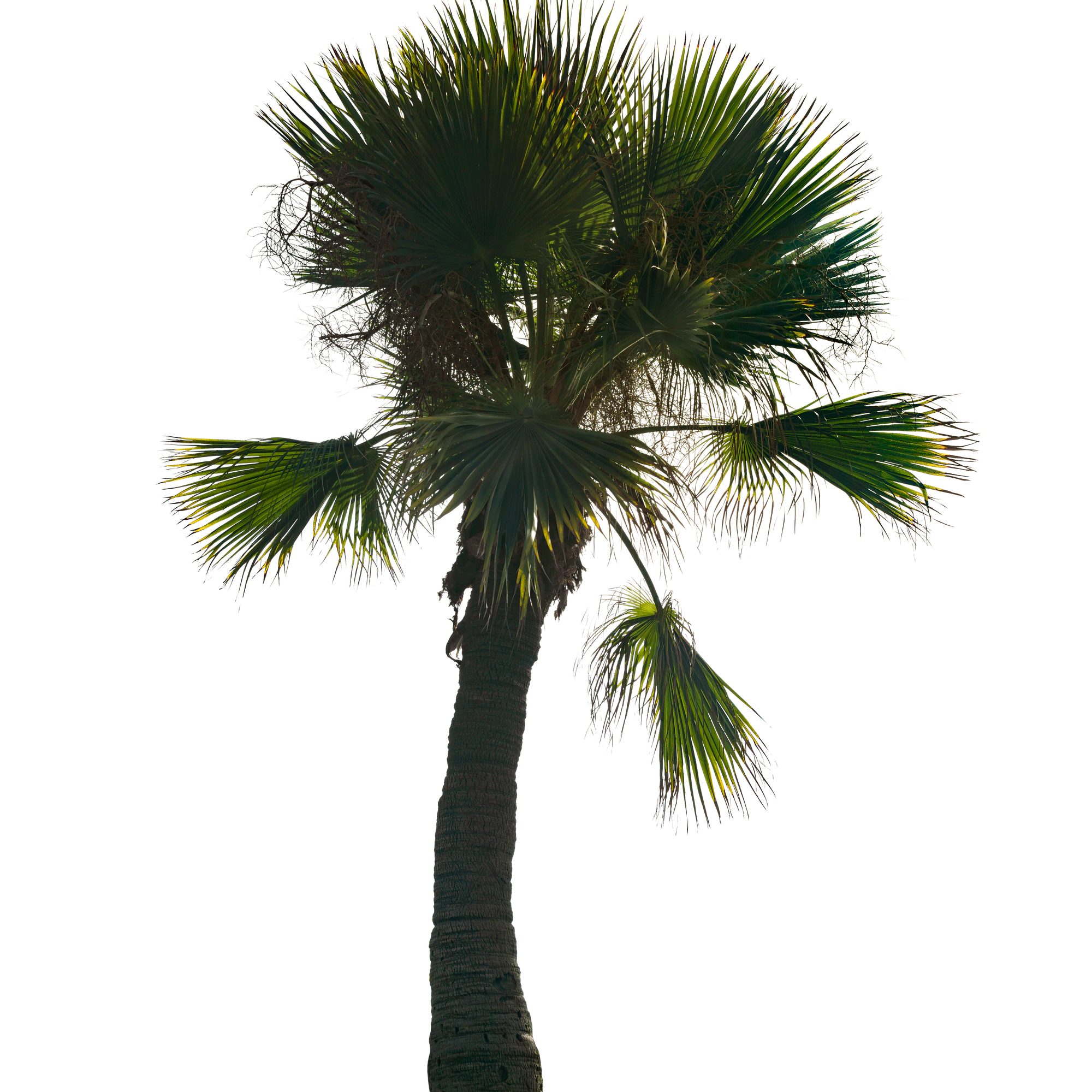 053 — Скачать