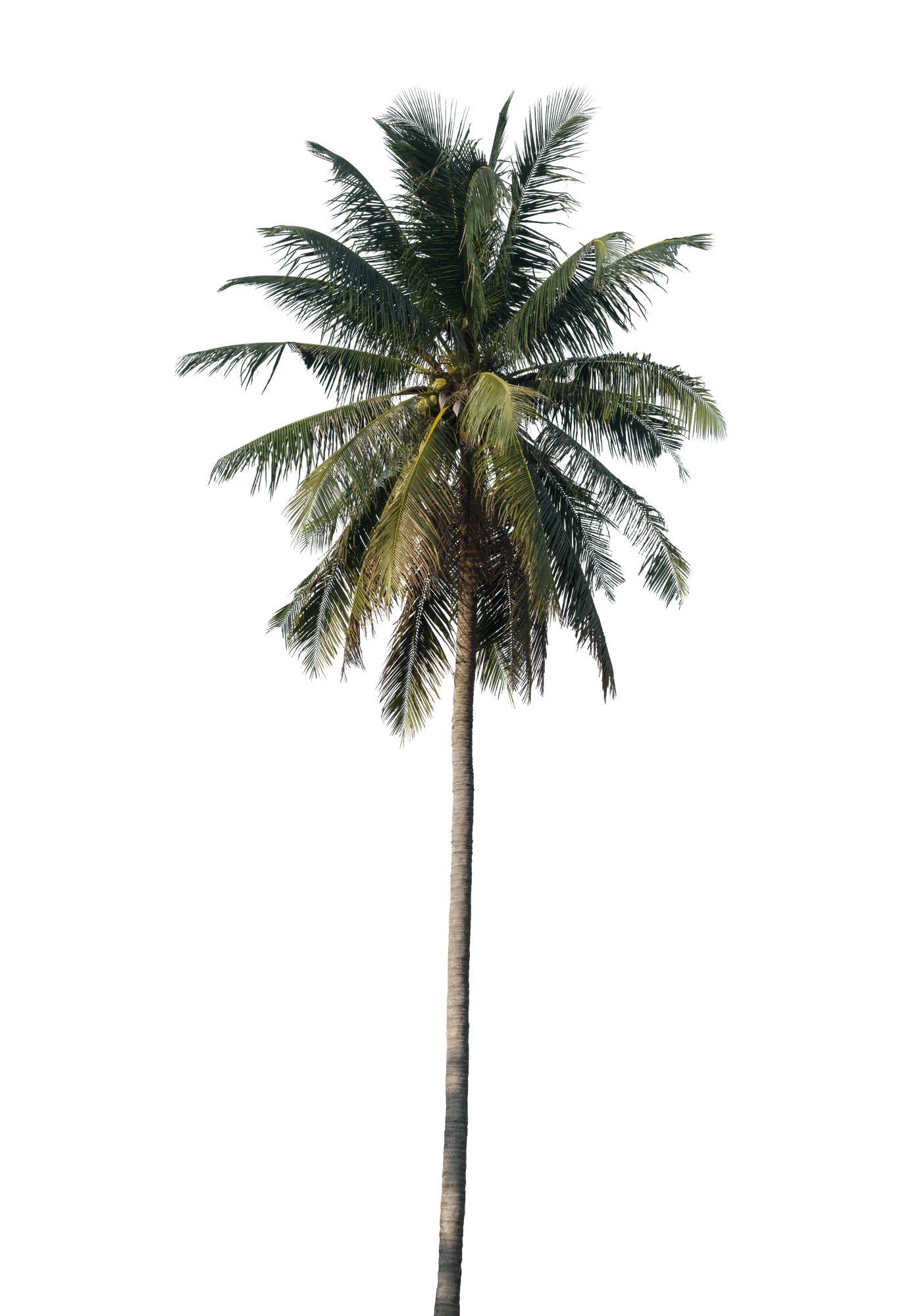 056 — Скачать