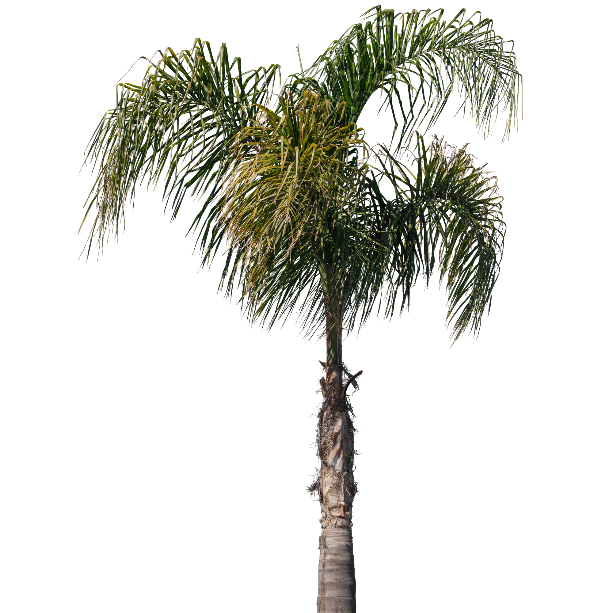 059 — Скачать