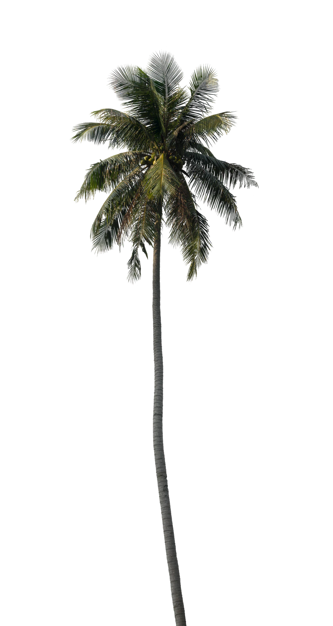 062 — Скачать