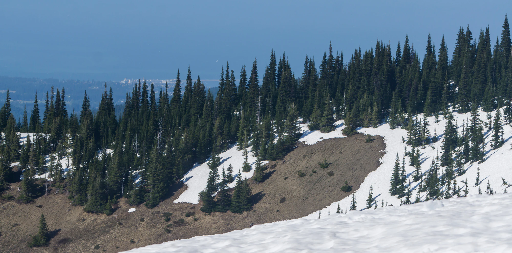 061 — Скачать