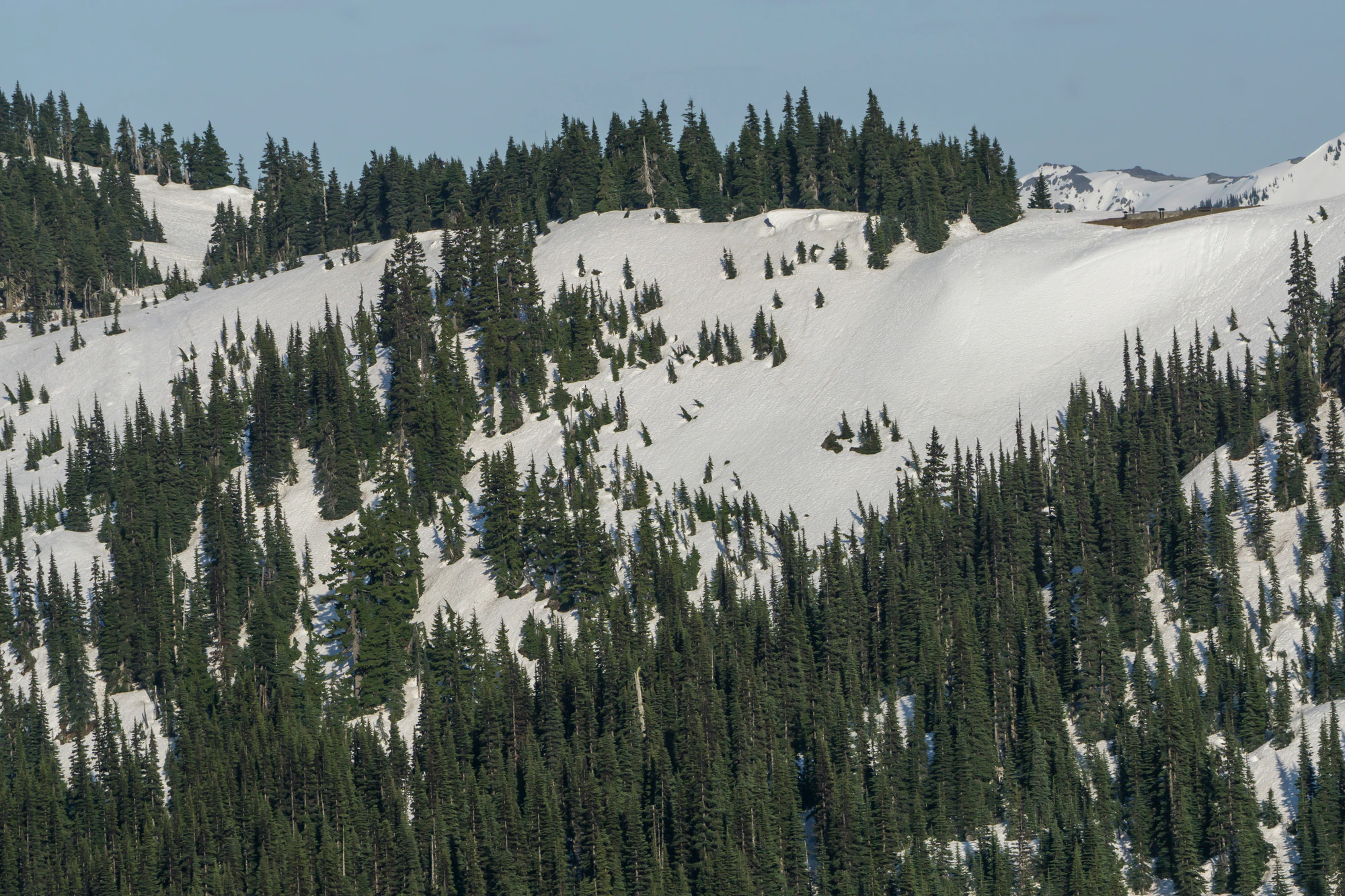 065 — Скачать