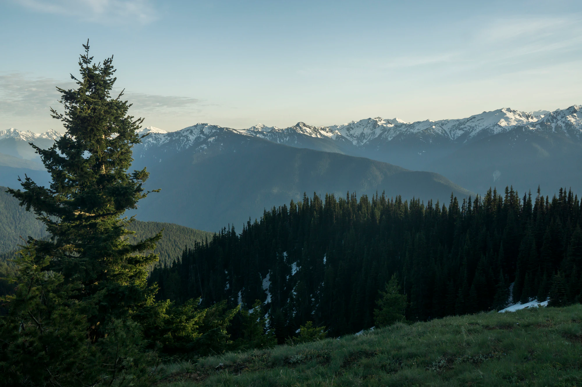 076 — Скачать