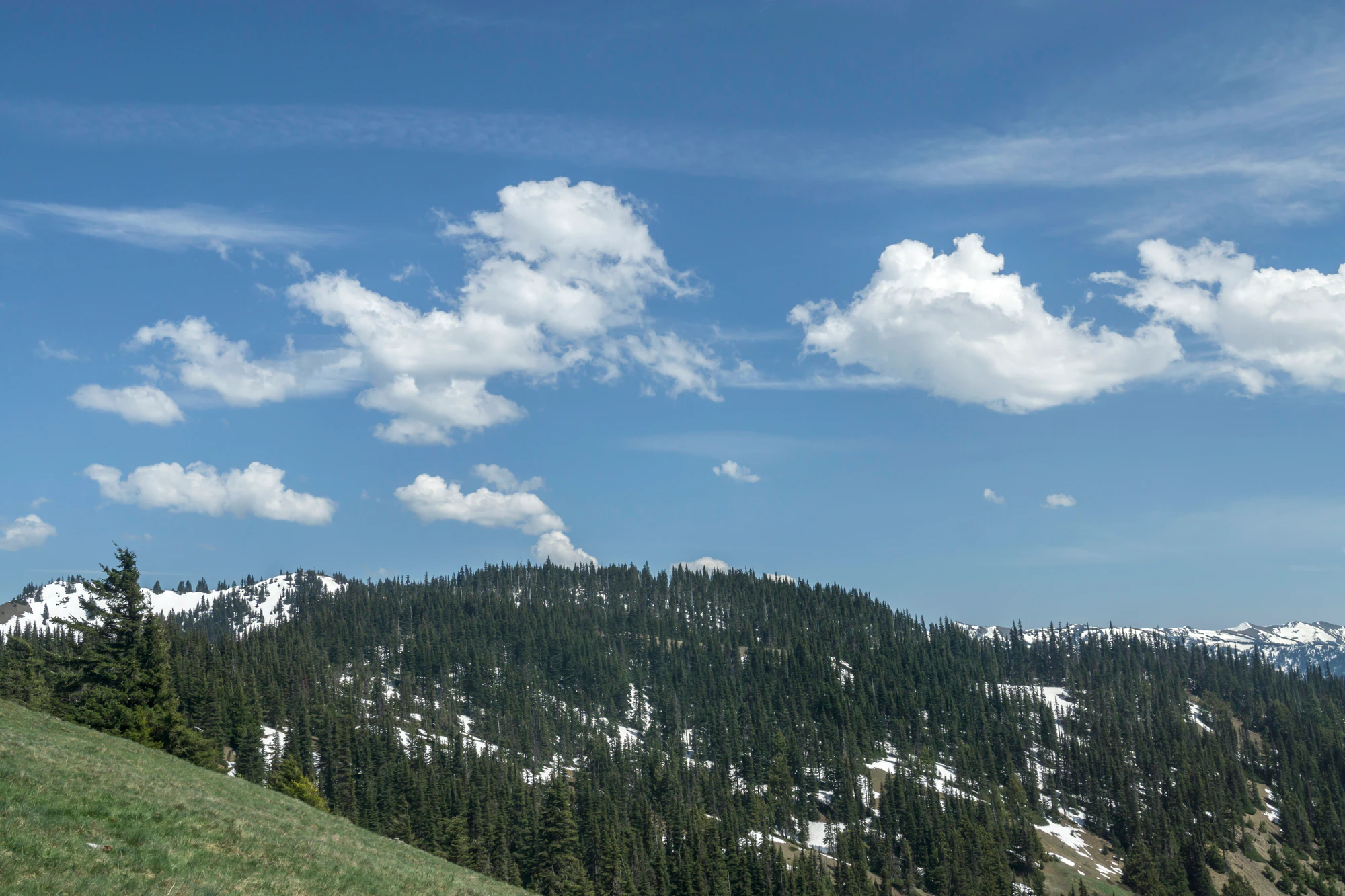 080 — Скачать