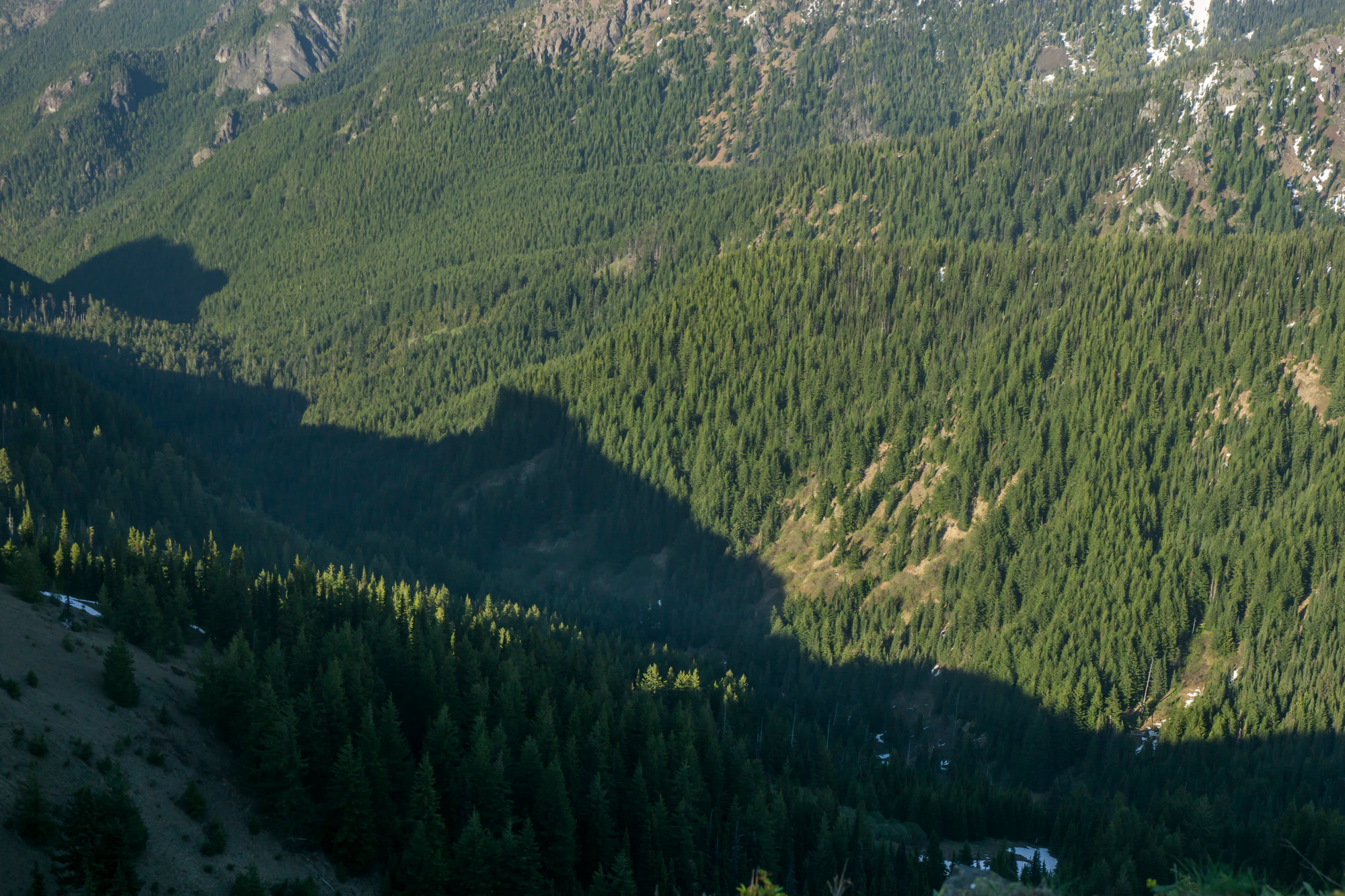 085 — Скачать