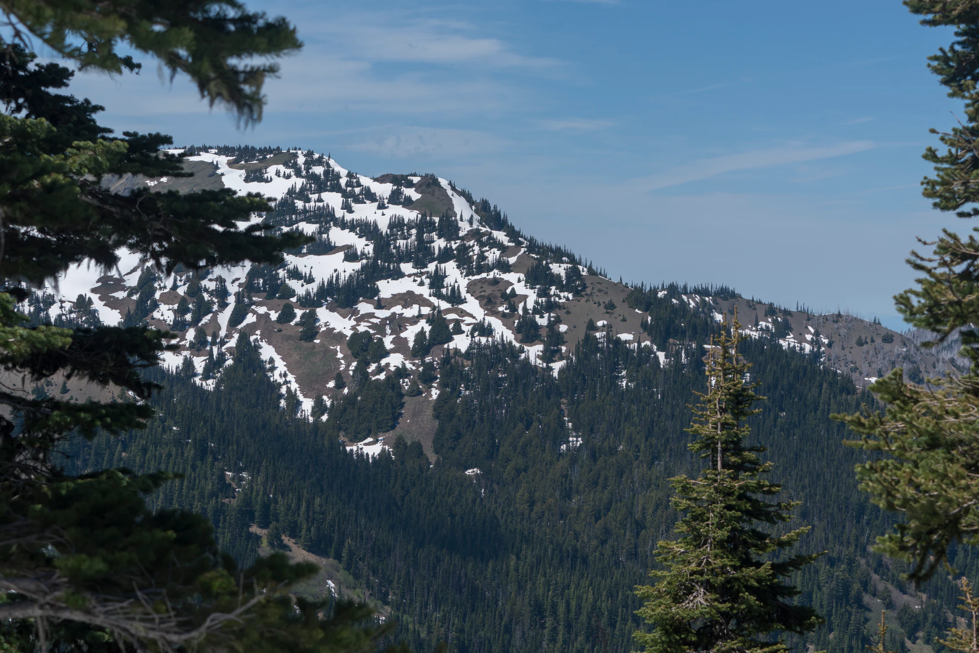 091 — Скачать