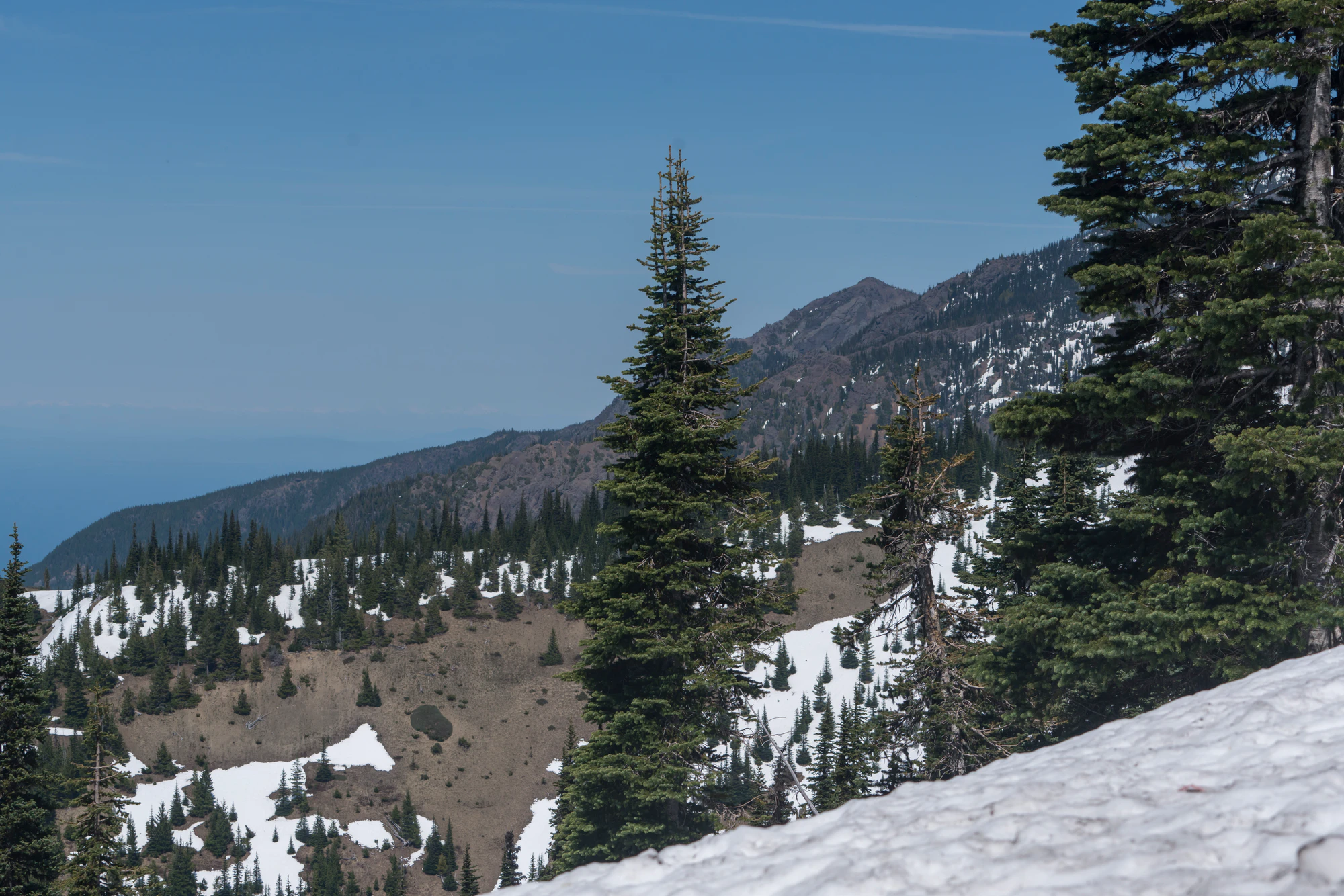 093 — Скачать