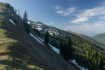 151 — Descargar