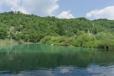 169 — скачать