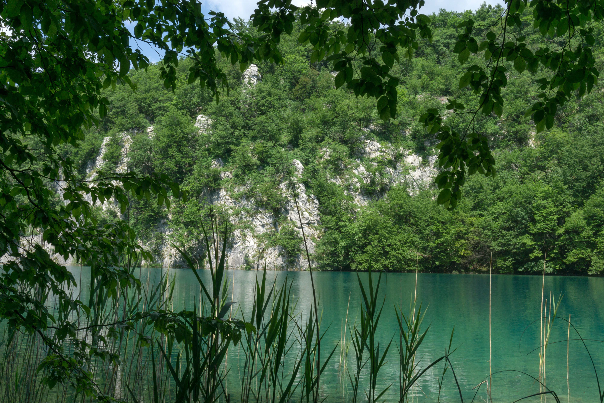 172 — Скачать