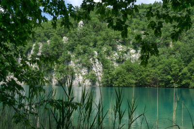 172 — скачать