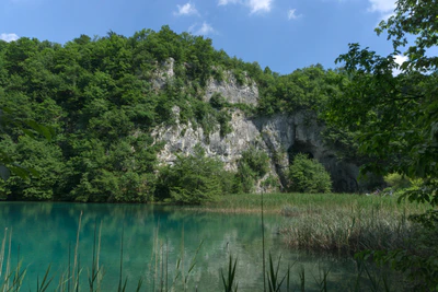 173 — скачать