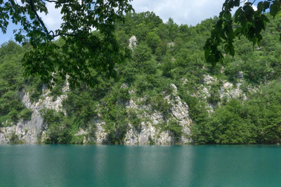 174 — скачать