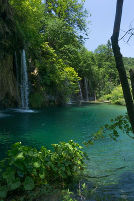 176 — скачать