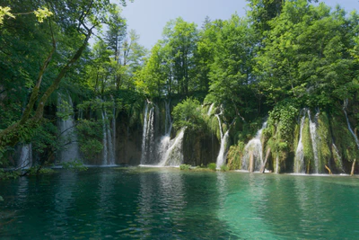 178 — скачать