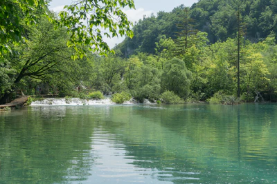 179 — скачать