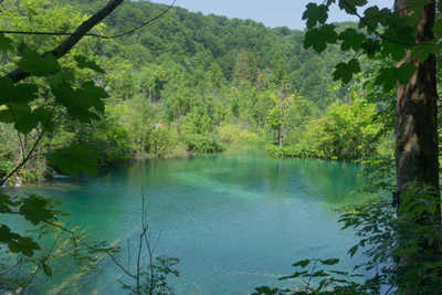 181 — скачать