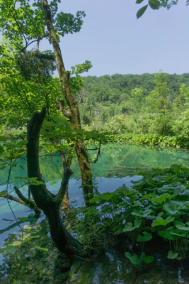 183 — скачать