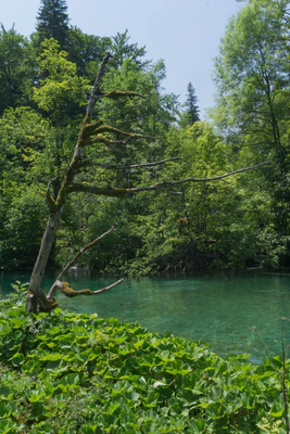 187 — скачать