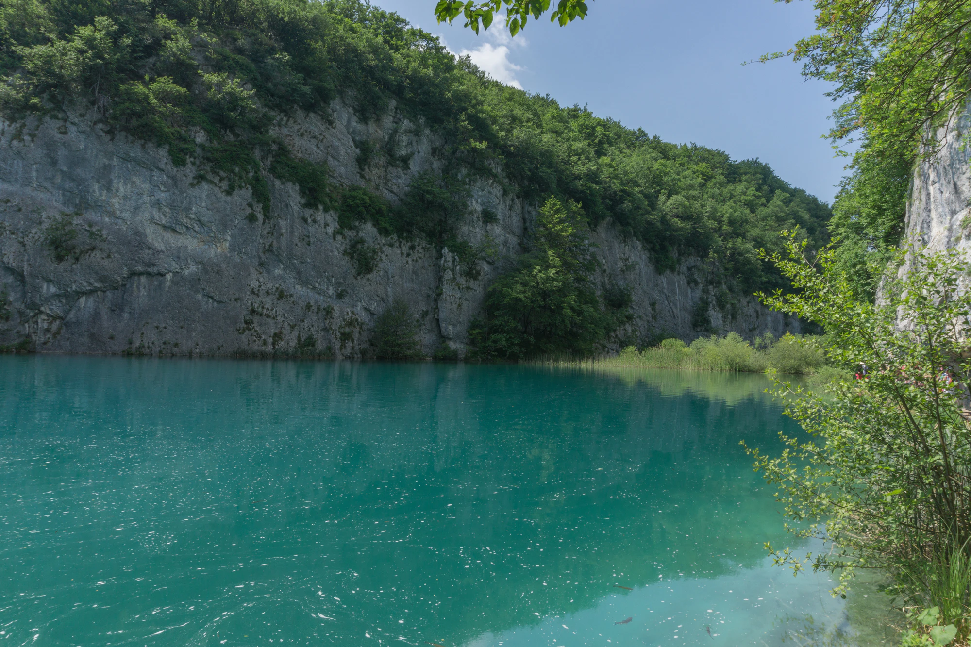 192 — Скачать