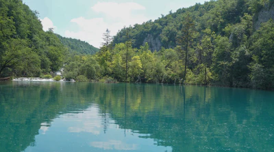 194 — скачать