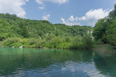 195 — скачать