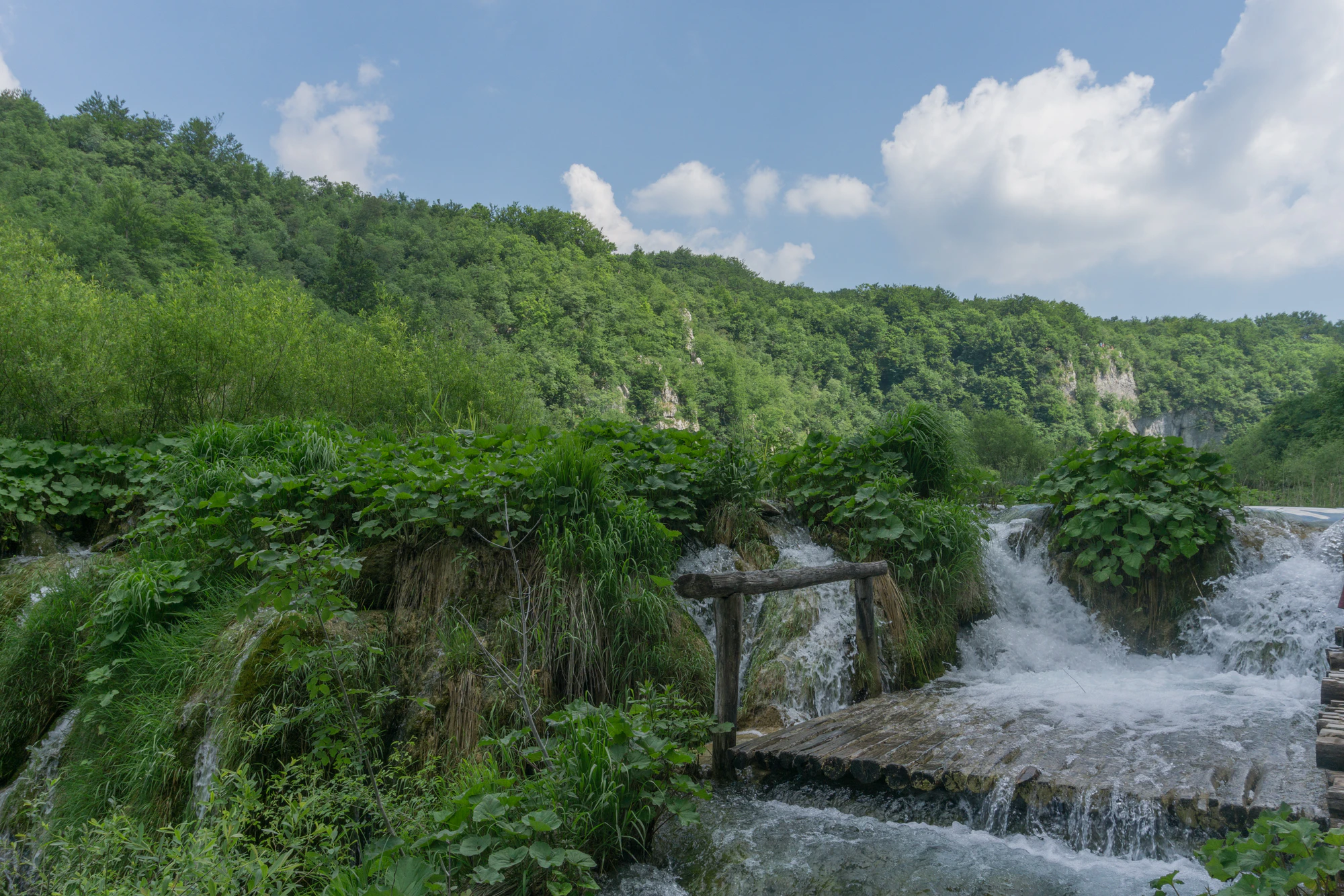 196 — Скачать