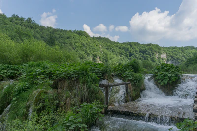 196 — скачать