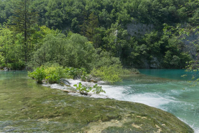 201 — скачать