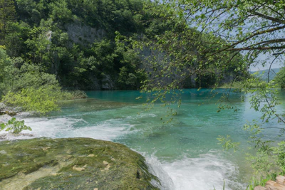 202 — скачать