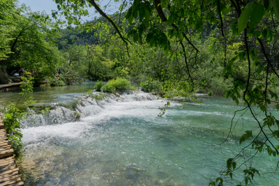 203 — скачать